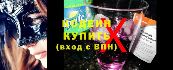 индика Абинск