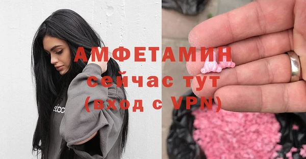 молекула духа Алзамай