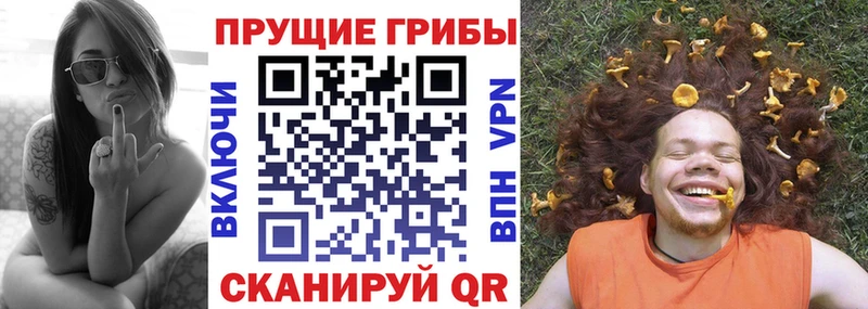Галлюциногенные грибы Psilocybine cubensis  купить наркоту  blacksprut маркетплейс  Туапсе 