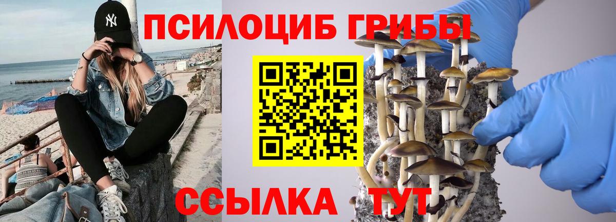 Псилоцибиновые грибы Psilocybine cubensis Туапсе